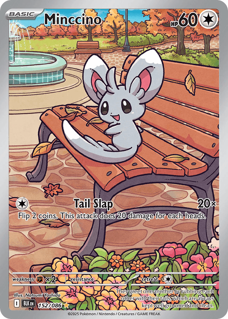 Minccino