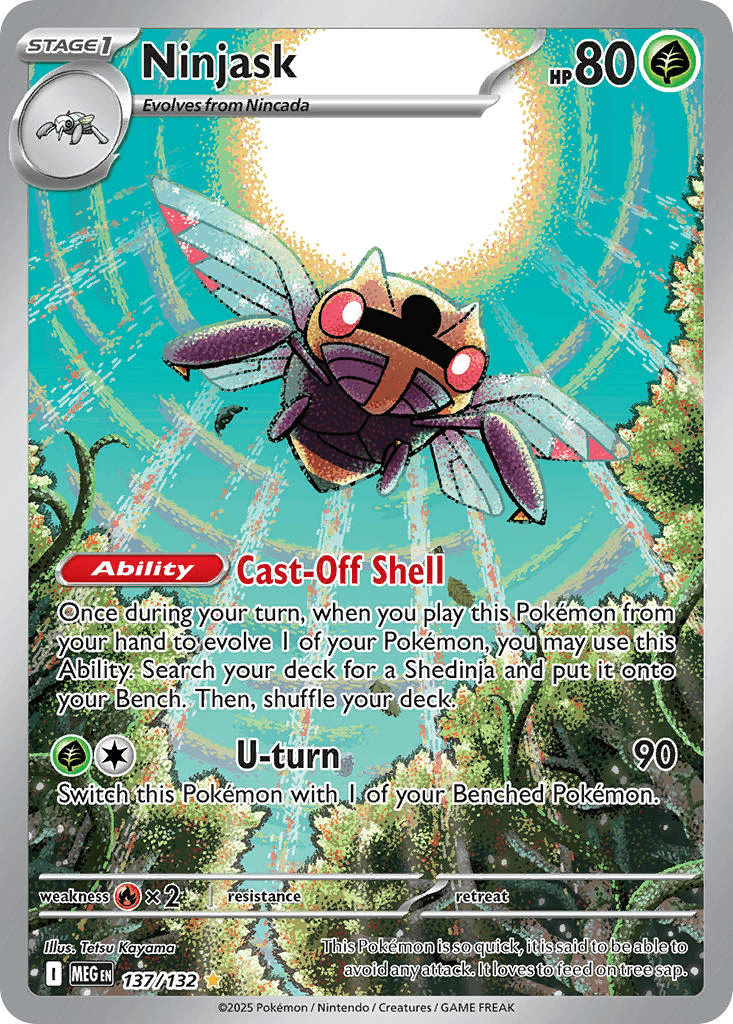 Ninjask
