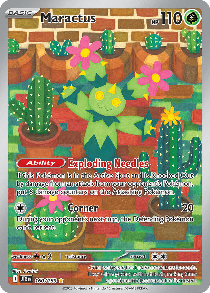 Maractus